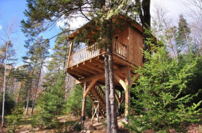 Les Cabanes du Trappeur